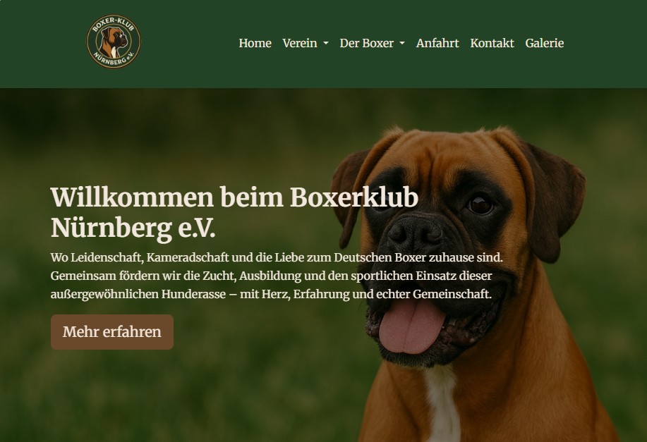 Bild der Boxerklub (Hunderasse) Webseite Nürnberg
